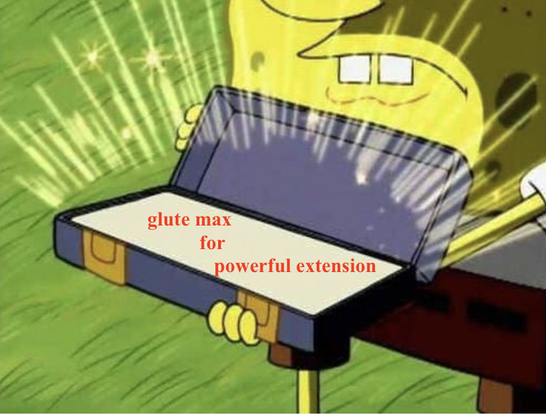 <p>It <strong>holds glute max in reserve</strong> for <strong>powerful extension</strong> activities.</p>