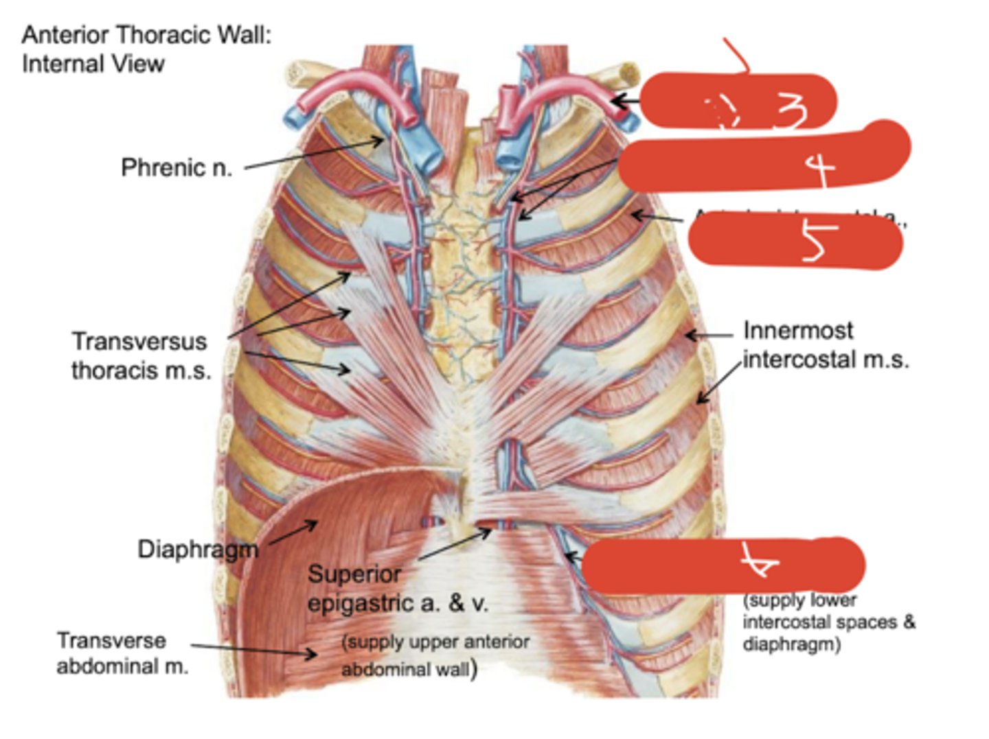 <p>(6)</p>