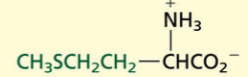 <p>Aliphatic[NONPOLAR]</p><p>Sulfur Containing</p>