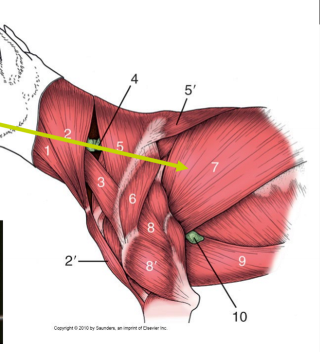 <p>O, I (ca), I (eq) (det är samma, men blir annorlunda)</p>