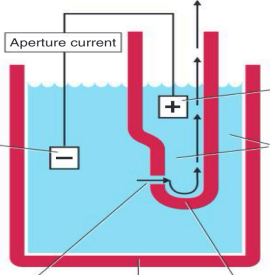 <p>Excluding internal and external electrode, Identify each pointed parts including arrows (in order</p><p></p>