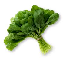 <p>spinach</p>