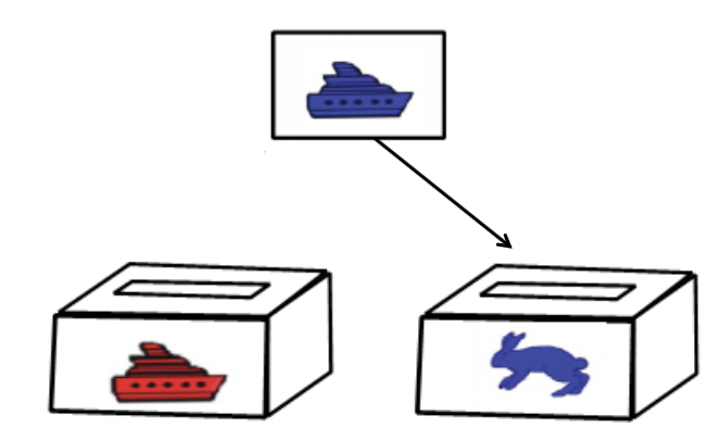 <p>Dimensional Change Card Sort (DCCS)</p><p> Pre-switch: sort by color for 6 trials</p><p>Post-switch: sort by shape for 6</p><p>trials</p><p> Who passes post-switch?</p><p> 3-year-olds = 30-40%</p><p> 4-year-olds = 50-60%</p><p> 5-year-olds = 90%</p><p></p>