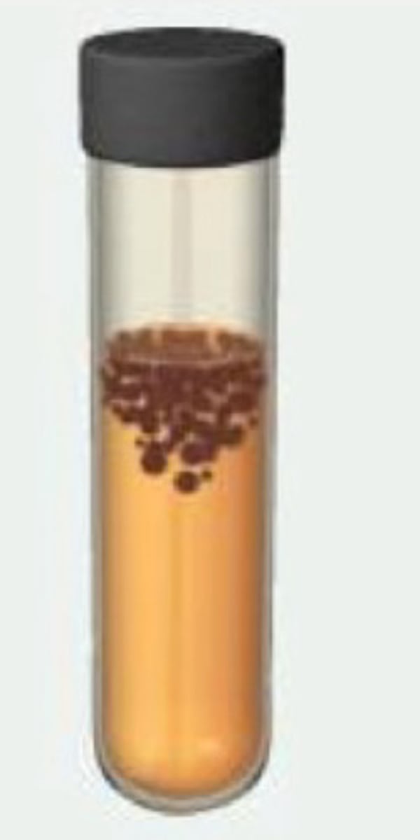 <p>name what kind of microbe in the test tube and describe the growth pattern</p>