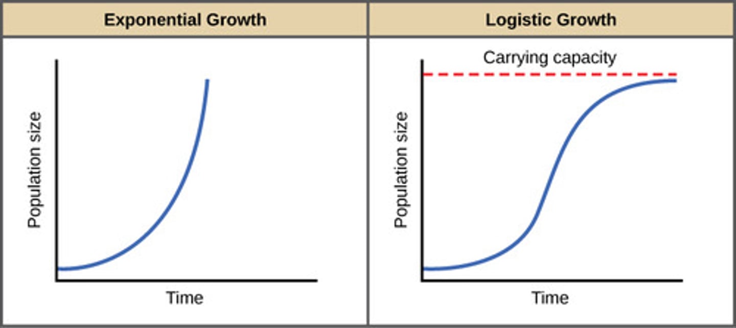 <p>Logistic- S Curve, steady growth with limits</p><p>Related To: Carrying Capacity, limiting factors</p>