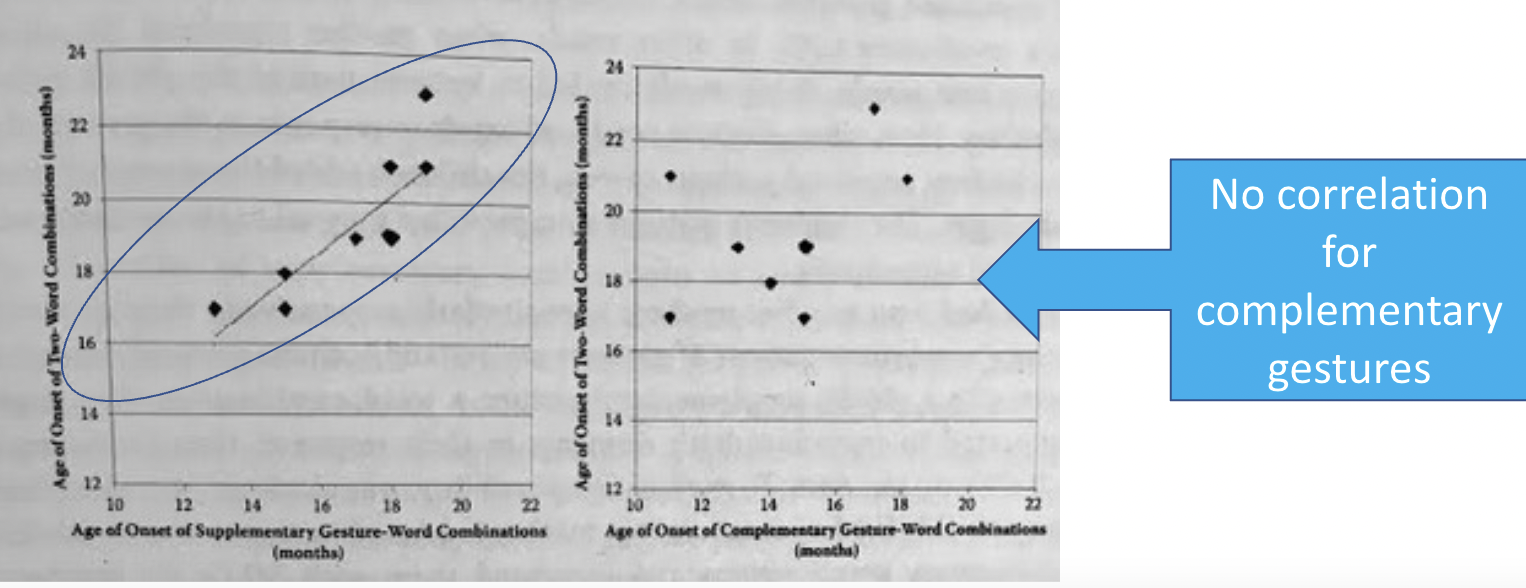 <p><span><span>Iverson & Goldin-Meadow (2005)</span></span></p>