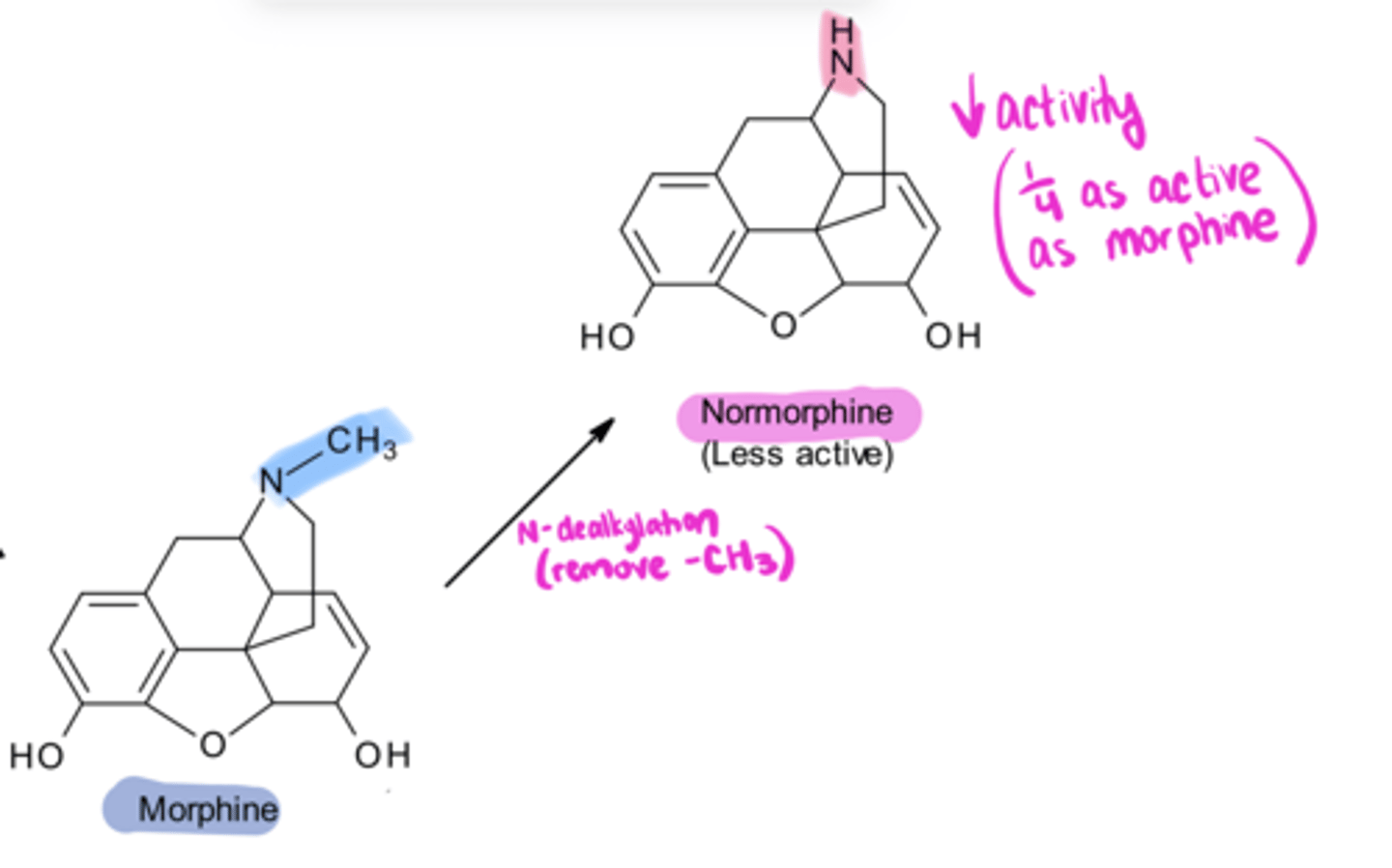 <p>Removal of -CH3 from morphine gives ____, which has ___ activity</p>