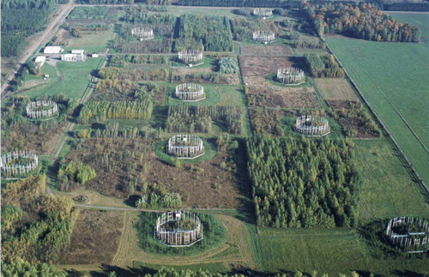 <p>What it is:</p><p>-experiments where plants/ecosystems are grown under higher-than-normal CO2 levels</p><p>-CO2 boosted by elevated towers</p><p>Purpose:</p><p>-study how increased CO2 affects photosynthesis and plant growth</p>