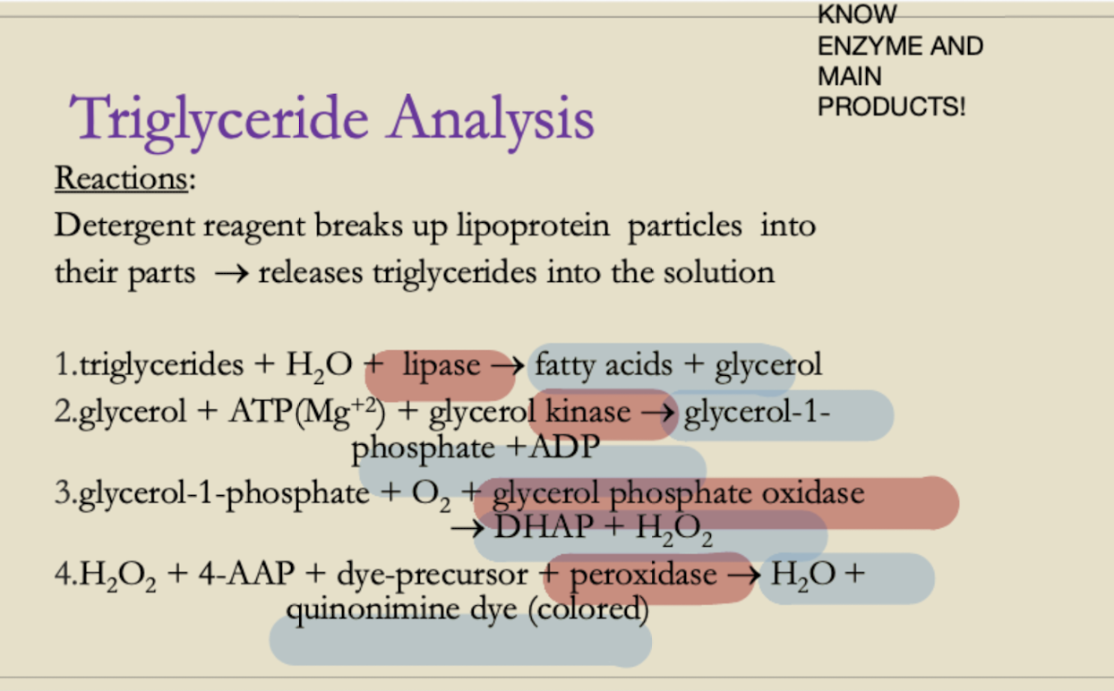 <p><strong>Enzymatic cascade reaction:</strong></p><p class="p1">1. Triglycerides → Glycerol + Fatty acids (Lipase)</p><p class="p1">2. Glycerol + ATP → Glycerol-1-phosphate (Glycerol kinase)</p><p class="p1">3. Glycerol-1-phosphate → DHAP + H₂O₂ (GPO)</p><p class="p1">4. H₂O₂ + Chromogen → Colored product (Peroxidase)</p>