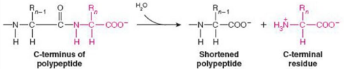 <p>Give Reaction Type and Class</p>