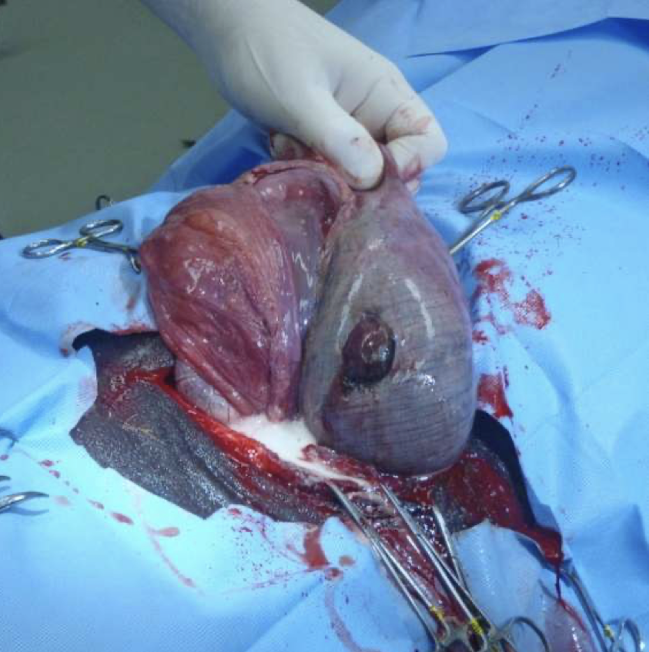 <p>What is this showing?</p>