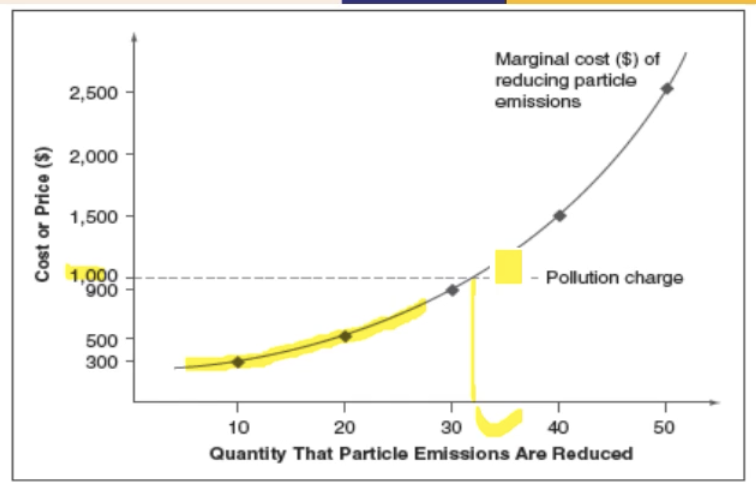 <p>companies have the incentive to spend the money to lower the pollution through new technology </p>