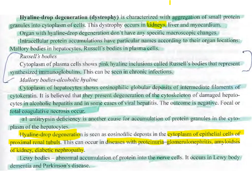 <p><strong><span>Abnormal intracellular accumulation of proteins can be seen in:</span></strong> </p><p><strong>a) the epithelial cells of the proximal tubules in proteinuria </strong></p><p>b) in the cardiomyocytes in heart infarction </p><p><strong>c) in the plasma cells in chronic inflammatory diseases as Russel’s bodies </strong></p><p>d) in the cells of pancreatic islets in diabetes mellitus</p>