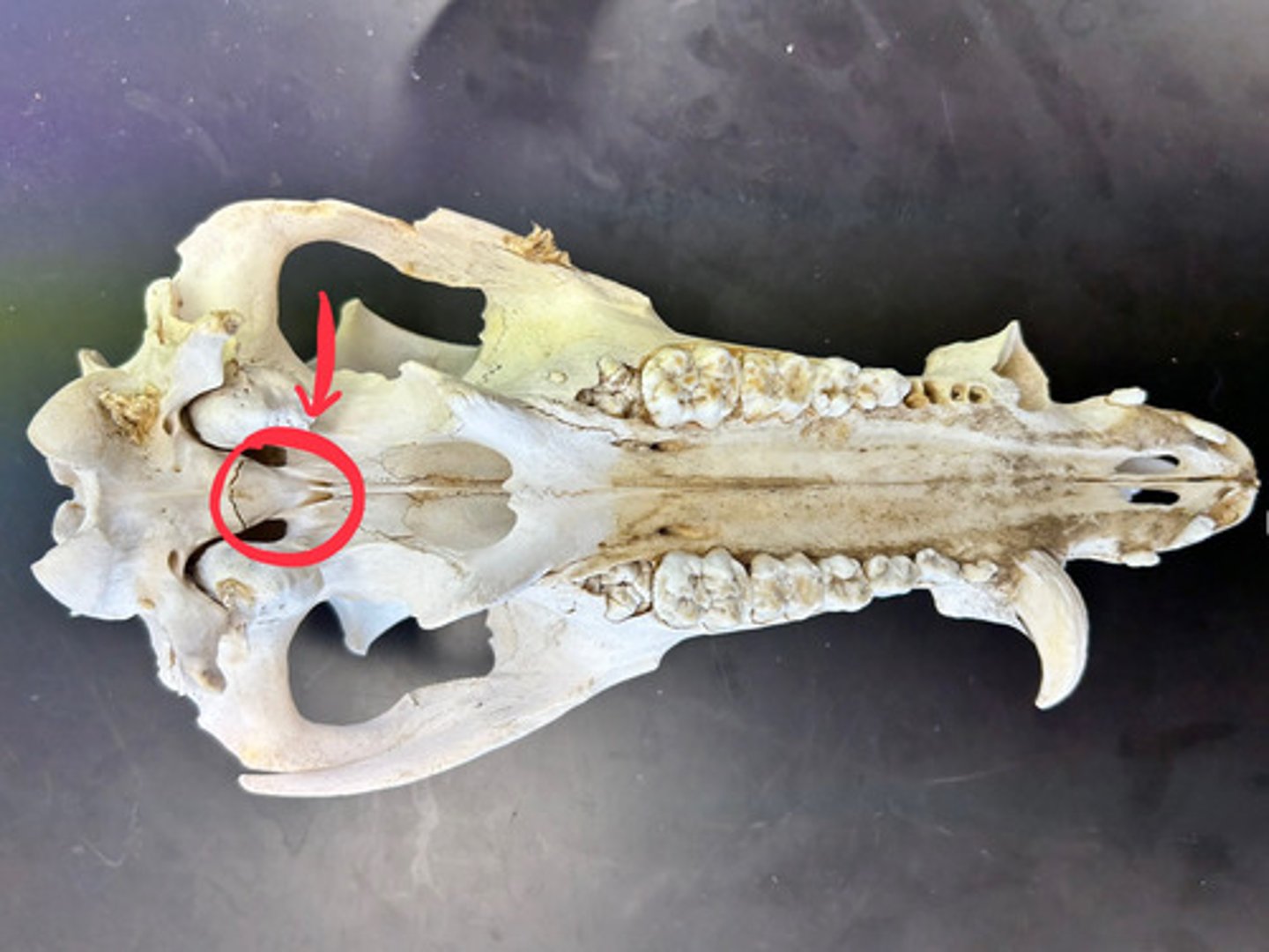 <p>What is this?</p>