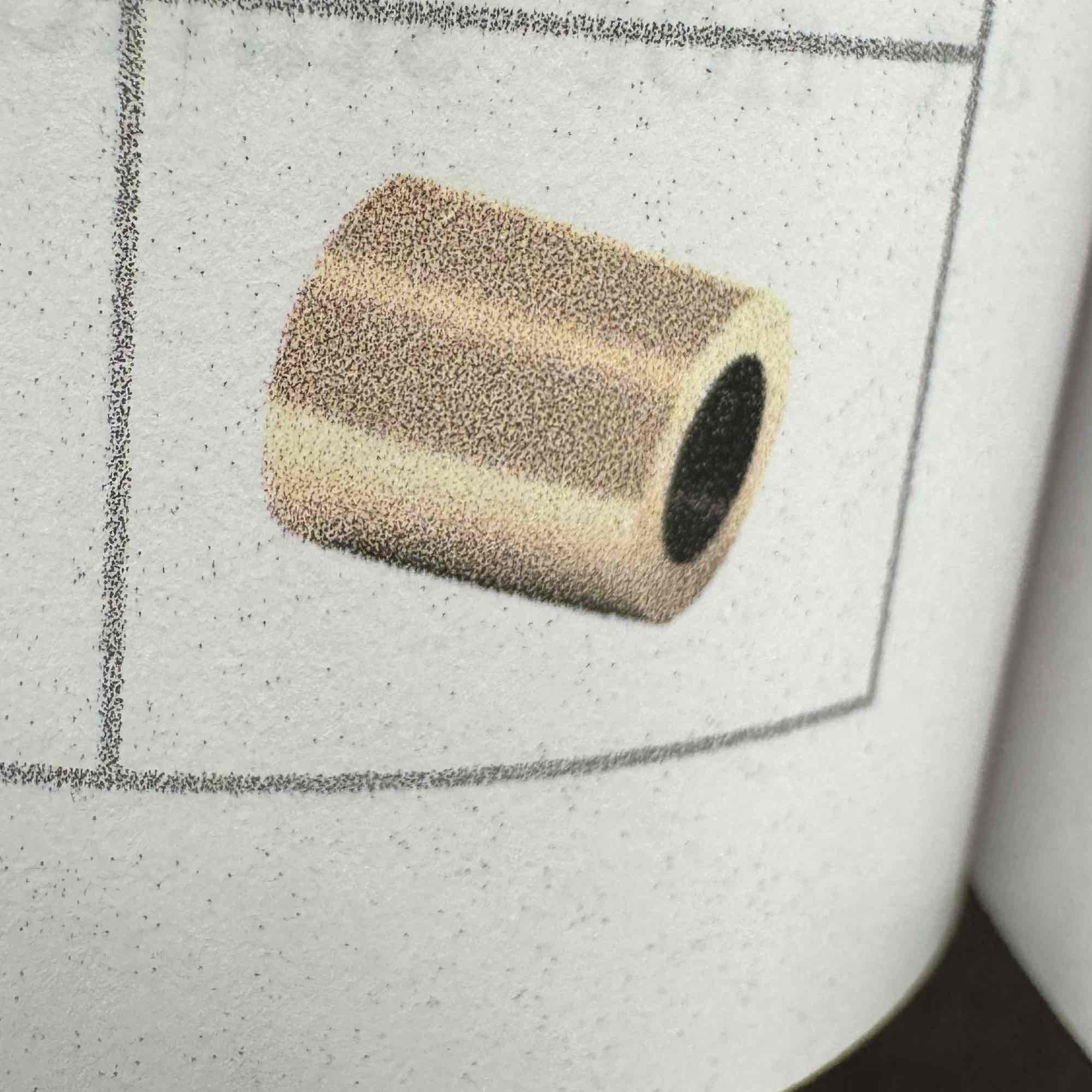 <p>A hollow cylinder used as a protective sleeve or guide</p>
