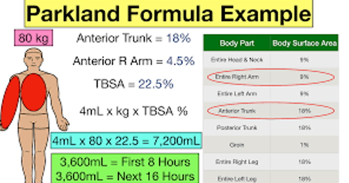 <ul><li><p>A fluid calculation based on the body surface area burned. (Restoration)</p></li><li><p>Use of a crystalloid (Lactated Ringers) during the first 24 hours (dextrose might be added for smaller children).</p></li><li><p>During the <u>first 8 hours, half of the calculated fluid volume is given</u>.</p></li><li><p>For the <u>next 16 hours, the remaining half is given</u>.</p></li><li><p><strong>Monitor</strong>:</p><ul><li><p>Cap Refill</p></li><li><p>Daily Weights</p></li><li><p>Urine Output (at least 1 mL/kg/hr)</p></li><li><p>Electrolytes (sodium and potassium).</p></li></ul></li></ul><p></p>