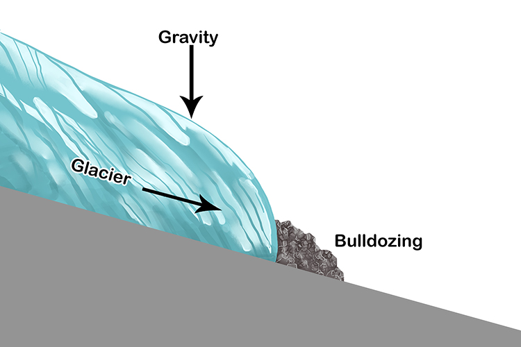 <p>How can material be carried during bulldozing (in terms of glaciation)?</p>