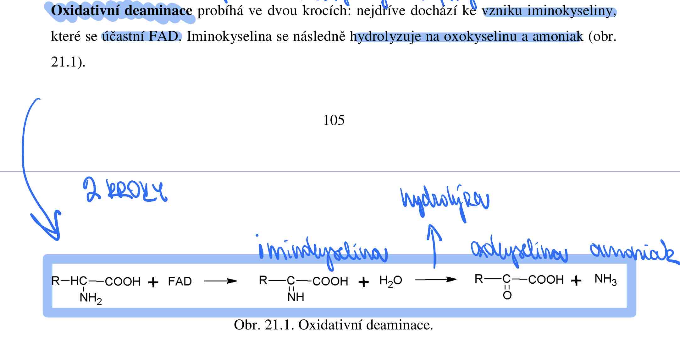 knowt flashcard image