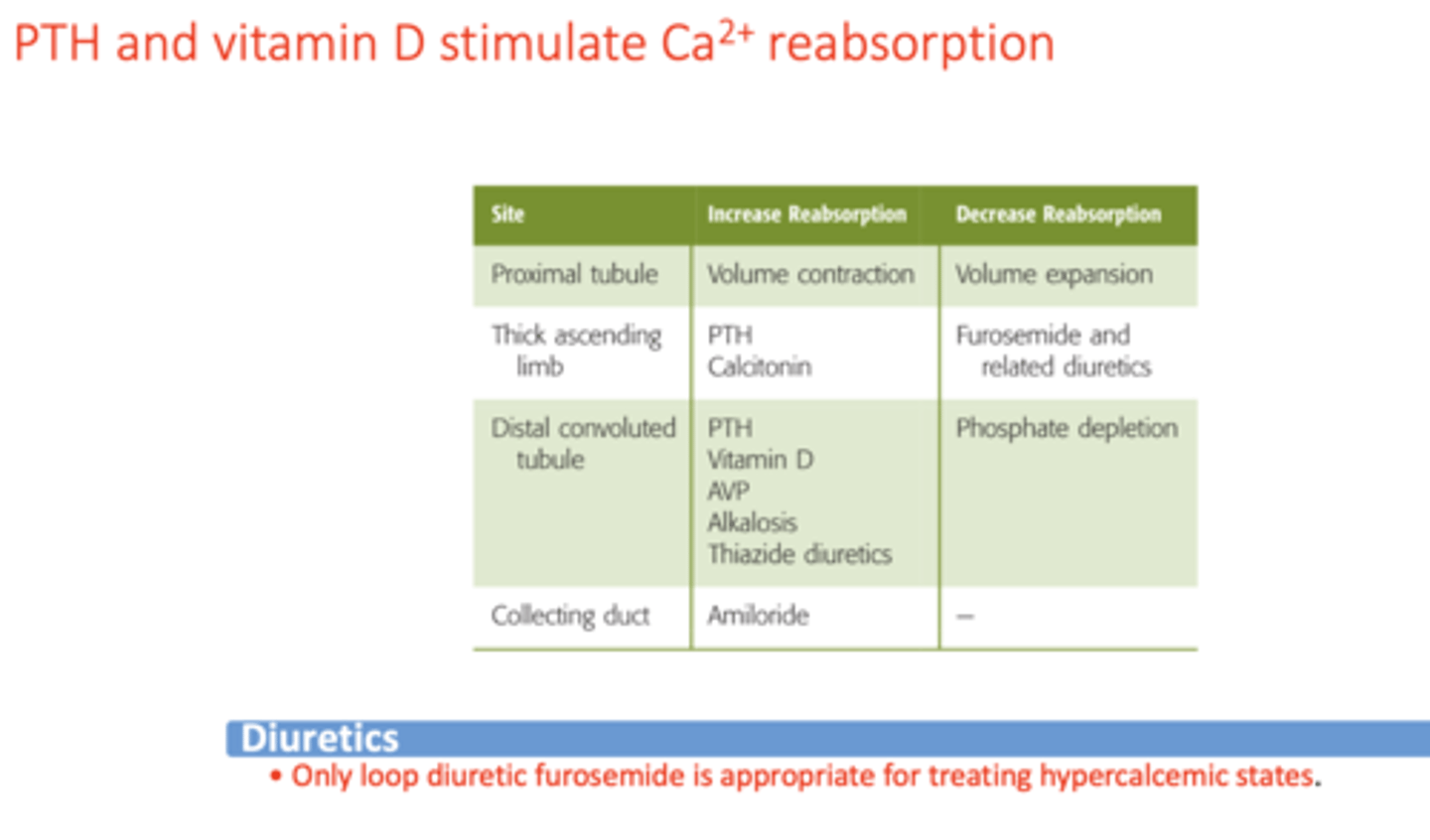 <p>distal convoluted tubule (DCT)</p>