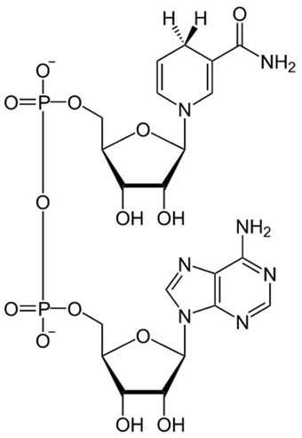 <p>Name that structure.</p>