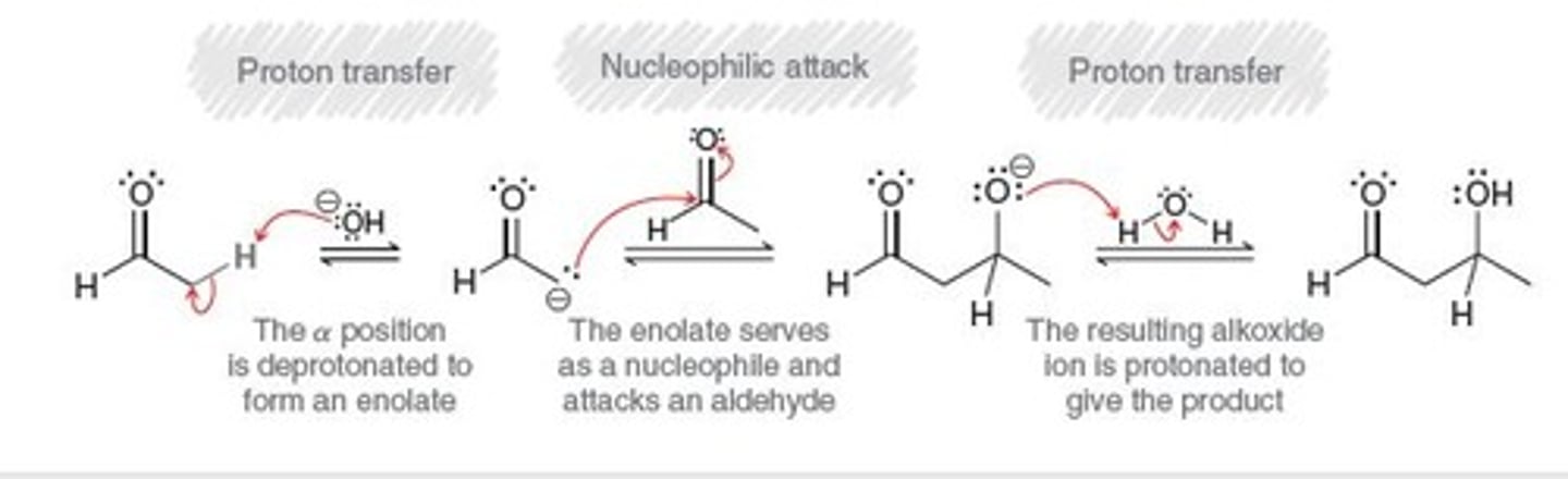 <p>product exhibits both aldehydic and hydroxyl group</p>