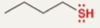 <p>1-butanethiol</p>