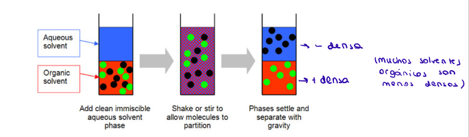 <ol><li><p>Mezcla</p><ul><li><p>Contacto de las dos fases totalmente o parcialmente inmiscibles</p></li><li><p>Incrementa área de contacto → mayor transferencia de materia entre fases</p></li></ul></li><li><p>Fase separación</p><ul><li><p>Separación de as dos fases por diferencia en densidad → normalmente la diferencia es tan grande que la gravedad las puede separar</p></li><li><p>Centrifugación para acelerar el proceso</p></li></ul></li><li><p>Recogida de fases</p><ul><li><p>Recogida diferencial de las dos fases</p></li></ul></li></ol><p></p>