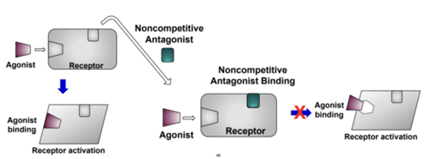 <p>conformational changes in the receptor required for receptor activation</p>