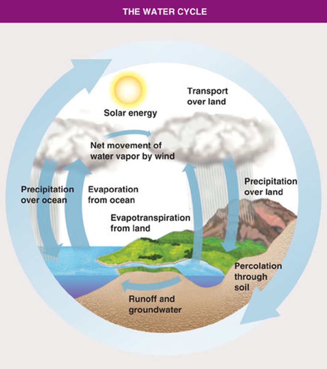 <p>The movement of water from Earth's surface to the atmosphere and back.</p>