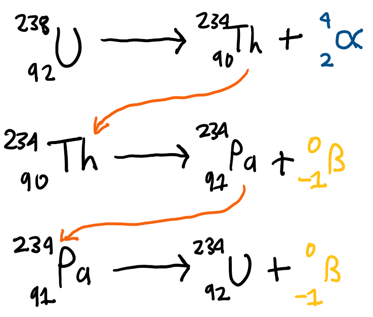 <p>decay to produce isotopes that are again reactive leading to chains forming.</p>