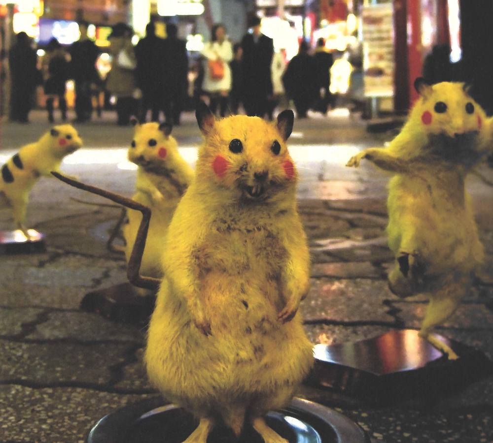 <p>SUPER RAT </p>