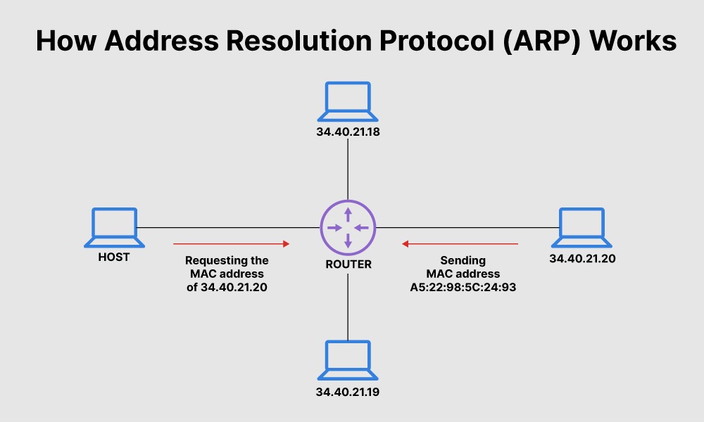 <p>Address Resolution Protocol.</p><p>Resolves IP addresses to MAC addresses. ARP poisoning attacks can redirect traffic through an attacker's system by sending false MAC address updates.</p>