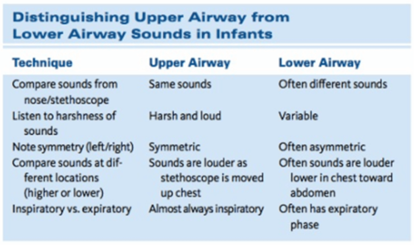<p>generally sounds are louder and harsher than adults</p><p>wheezes and rhonchi are common </p><p>distinguish btw upper and lower airway sounds </p>