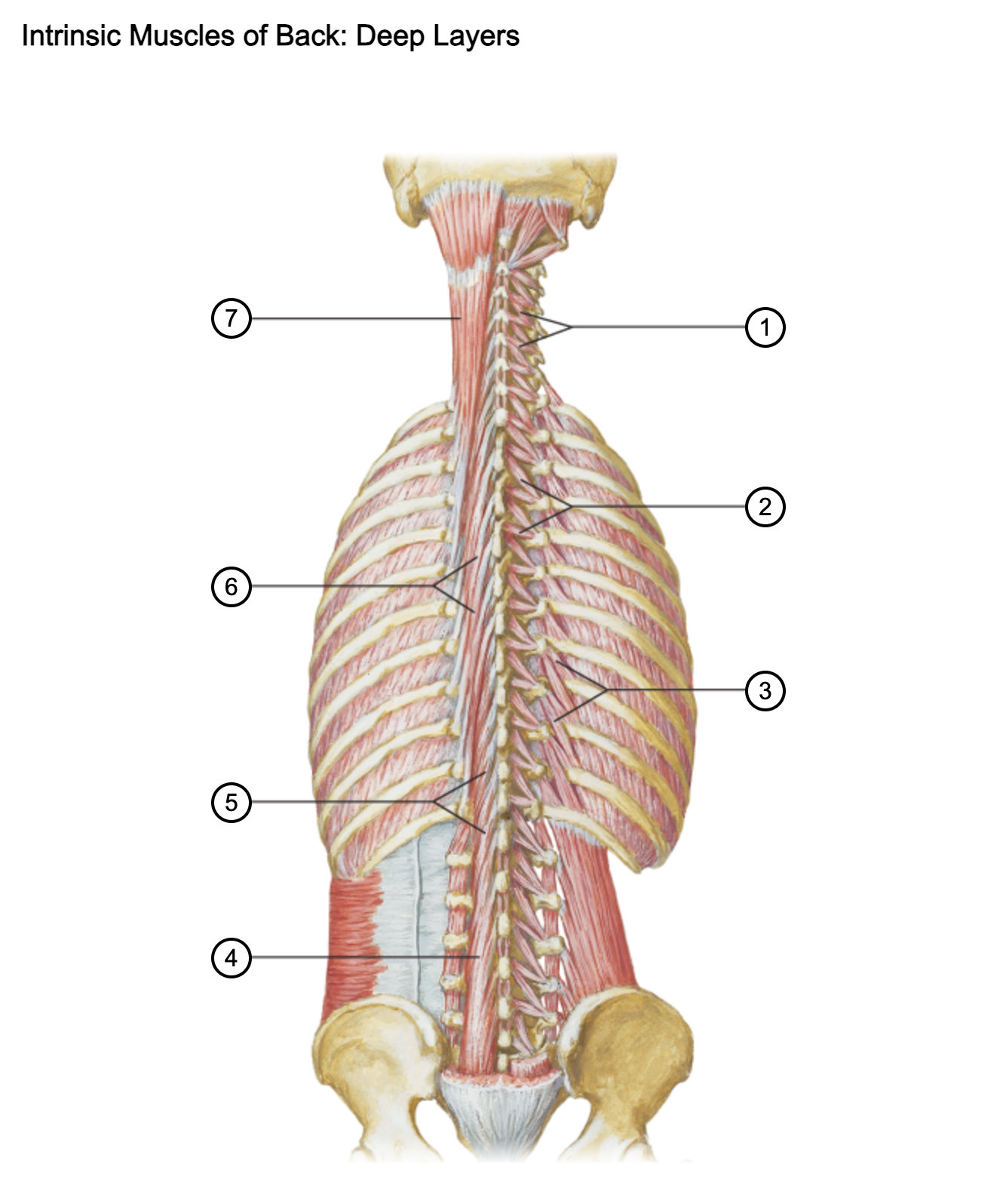 <p>1</p>