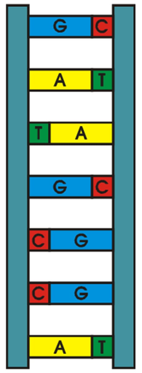 <p>A code is a system in which one symbol signifies the meaning of another symbol. In the genetic code, a group of three nucleic acid bases signifies for an amino acid.A gene is a specific sequence of DNA nucleotides that codes for the making of a specific protein.</p>
