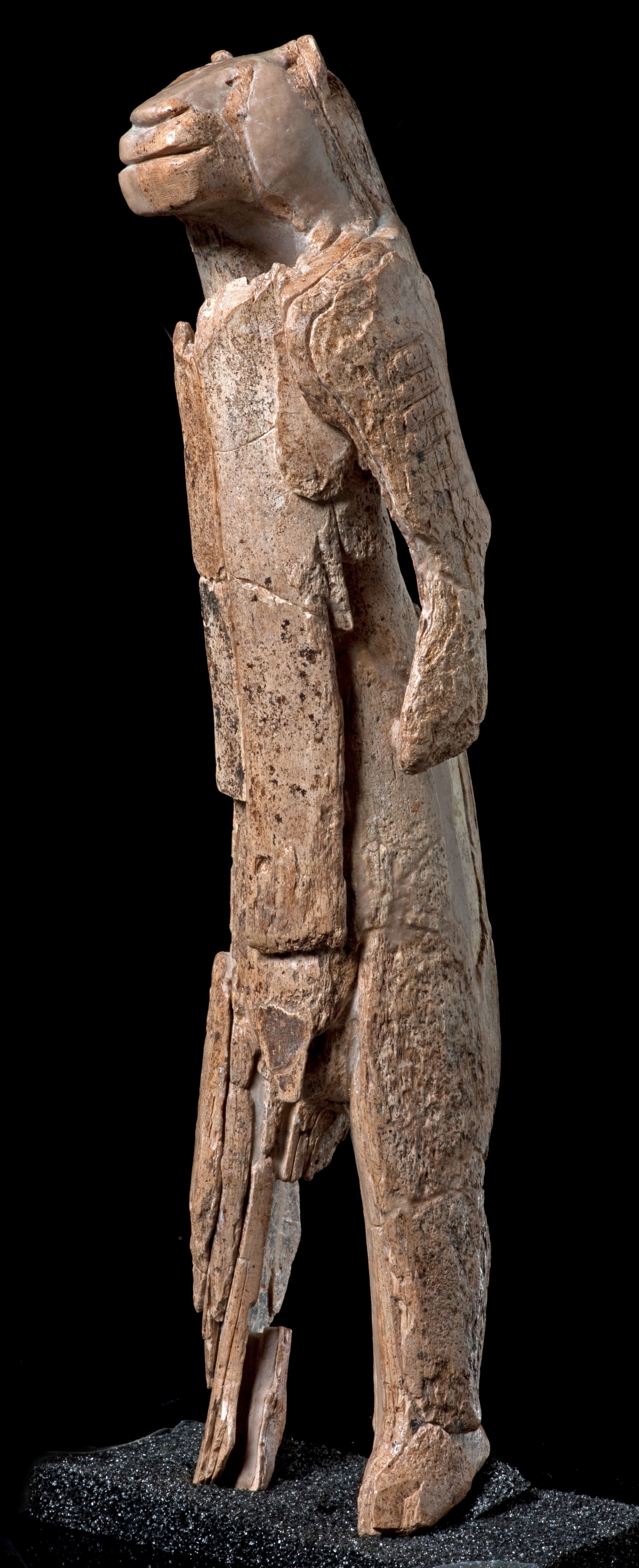 <ul><li><p>40,000-35,000 BCE</p></li><li><p>Germany</p></li><li><p>male human figure w/ feline head- carved out of mammoth tusk</p></li><li><p>could have been someone in a ritual lion mask or someone who had taken the appearance of a animal (shamanism)</p></li><li><p>humans might have seen animals and humans as sharing the world as one common group </p></li></ul><p></p>