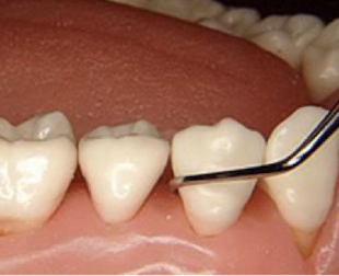 <p>good or bad and why</p>