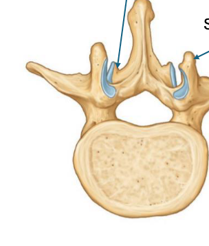 <p>left to right </p>