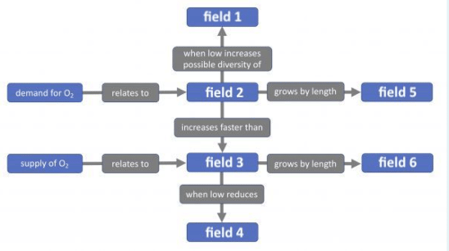 <p>field 1 → cell shapes,</p><p>field 2 → volume,</p><p>field 3 → surface area,</p><p>field 4 → diffusion rate,</p><p>field 5 → cubed,</p><p>field 6 → squared</p>