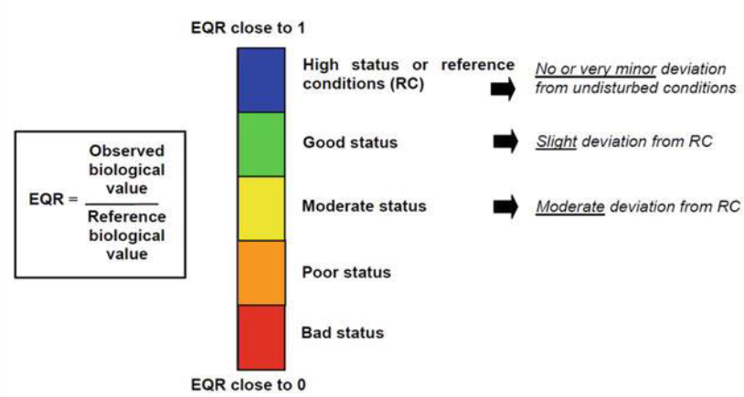 <p>WFD Status Ratings</p>