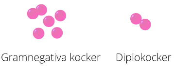<p>2 kocker bredvid varandra </p>
