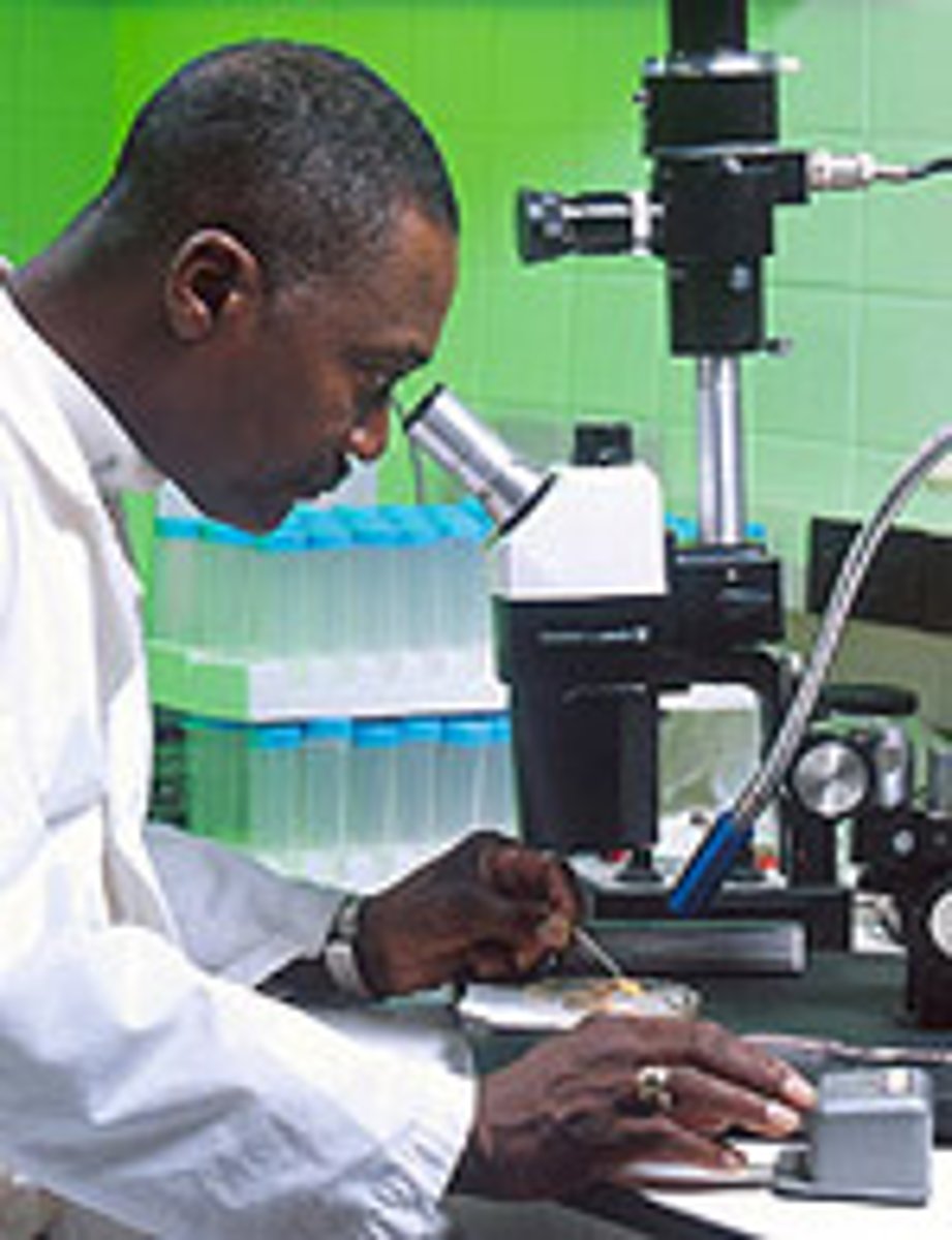 <p>Someone who studies microscopic organisms</p>