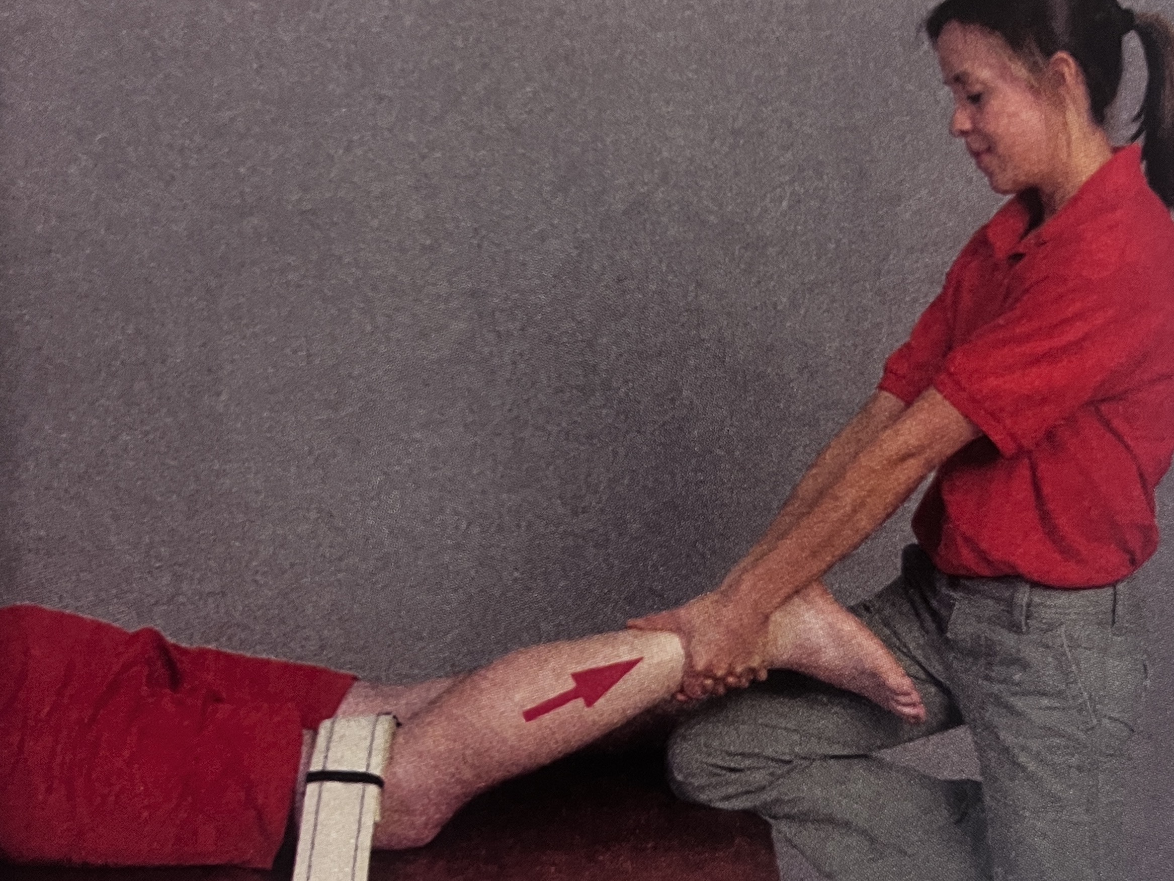 <p>What joint mob is this?</p>