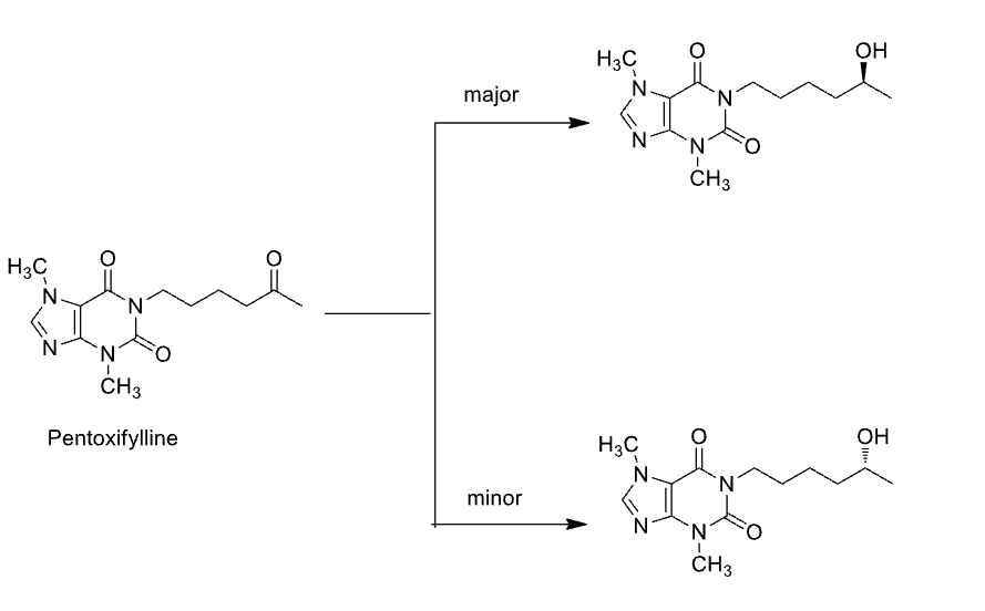 <p>Name Enzyme </p>