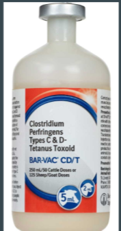 <ul><li><p>Clostridium perfringens type C and D </p></li><li><p>Clostridium tetani </p></li></ul>