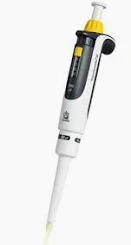 <p>gel lab - what is this?</p>