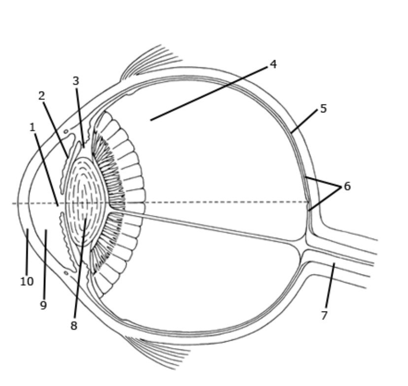 <p>What is 2 Pointing to?</p>