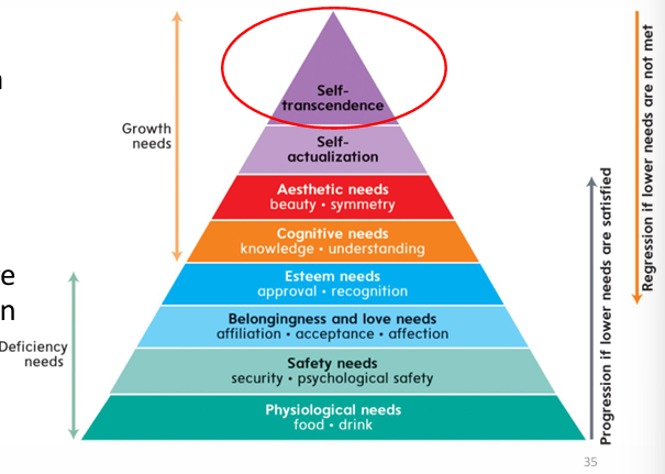 <p>Ranking of needs (Physiological, safety, belonging and love, esteem, cognitive, aesthetic, self-actualization, self-transcendence)</p><p>Proposed that many motivation models ignored a key human motive — the striving for personal growth</p><p>More ‘basic’ needs in the hierarchy must be met before needs higher order needs can be tackled</p>