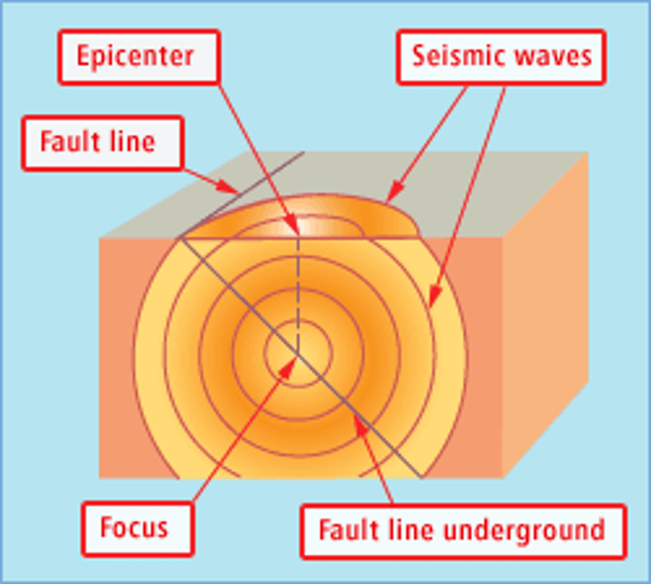 <p>The location on the surface directly above the focus</p>