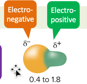 <p>polar covalent bond</p>